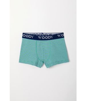 Woody Jongens Boxer groen-blauwe streep