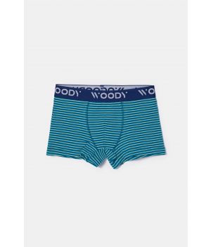 Woody Jongens boxer set groenblauw + str