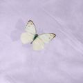 Snurk Butterfly Lilac 240x220+2