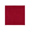 Aquanova Badmat 60x60