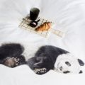 Snurk Lazy Panda 140x220+1