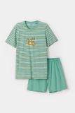 Woody Jongens-Heren Pyjama multicolor streep