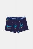 Woody Jongens boxer set groenblauw + dui