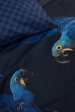 Snurk Blue Parrot 240x220+2