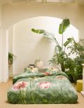 Essenza Annabel 240x220+2 basil