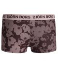 Björn Borg Minishorts 2Wayflower 2-Pack