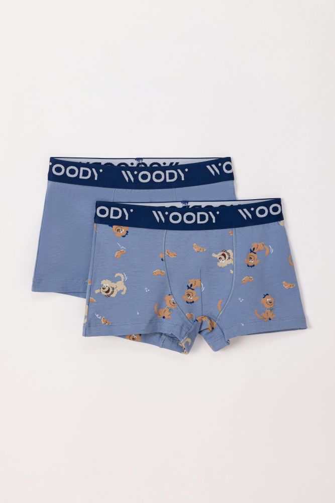 Woody Jongens Boxer set blauw + labradoo