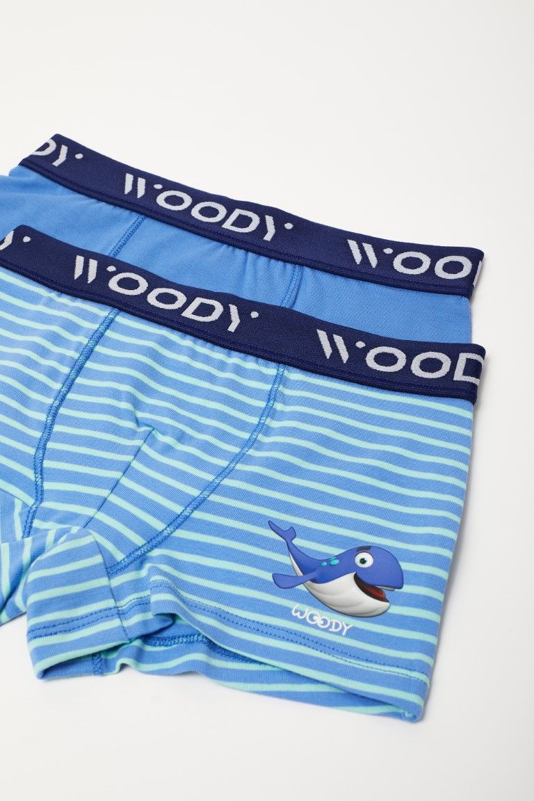 Meesterschap maatschappij Raad Woody Jongens Boxer duopack blauw uni +