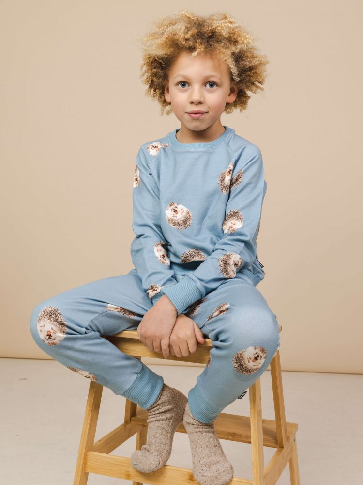 Snurk Pyjama Hedgy Blue Sweater+Pants