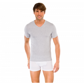 Schiesser Authentic heren t-shirt in 2-pack
