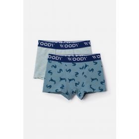 Woody Jongens Boxer duopack haas print b